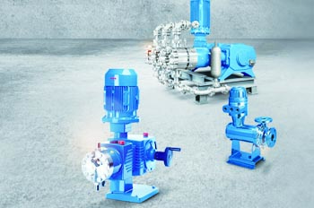 SAP泵業成功案例